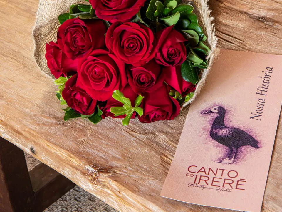 Canto_do_irere-100